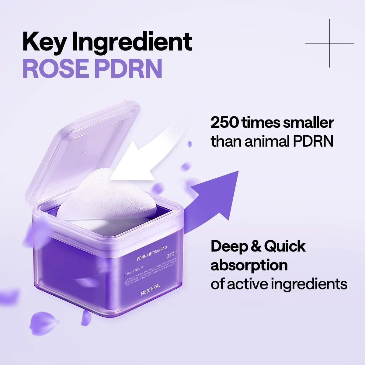 Mediheal Pdrn Lifting Toner Pad | Wholesale K-Beauty