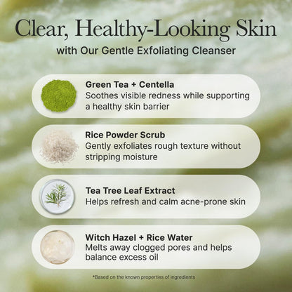 Arencia Fresh Green Rice Mochi Cleanser 4.23oz | Wholsale K-Beauty