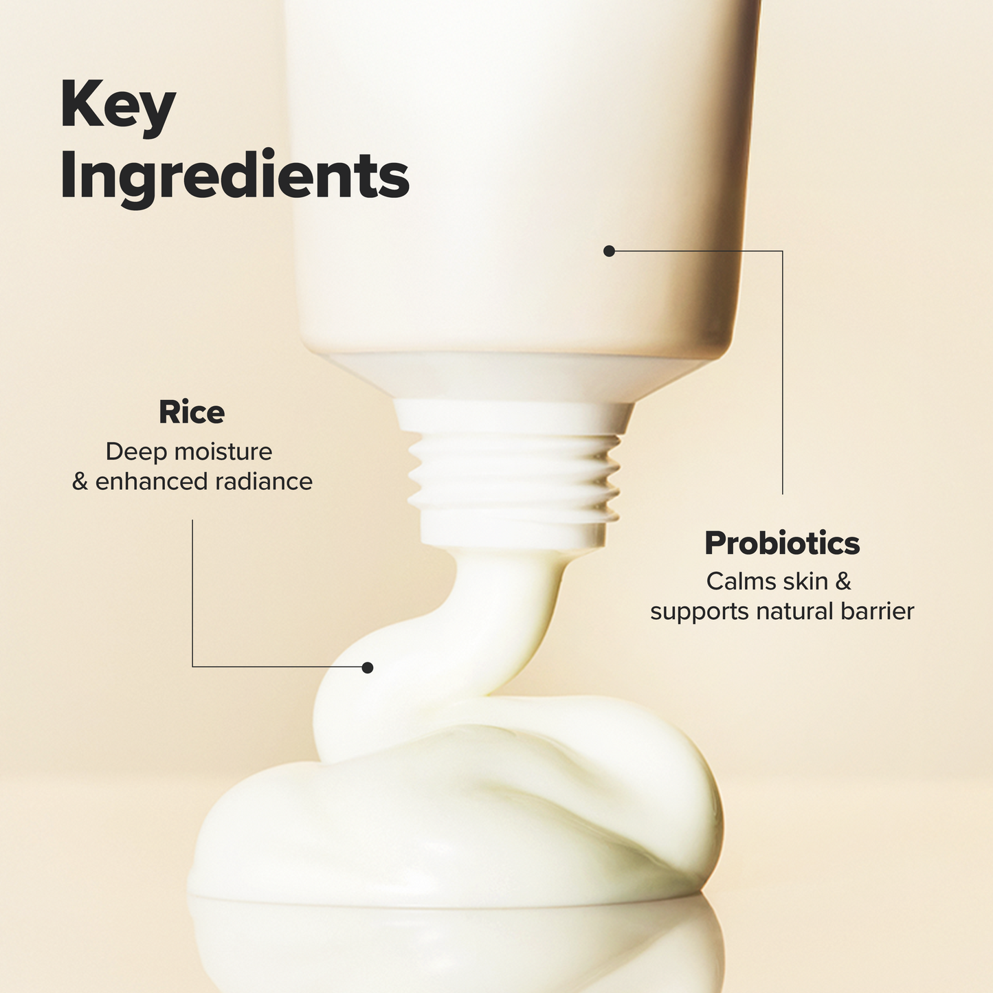 Beauty of Joseon Relief Sun: Rice + Probiotics SPF 50+ PA++++ | Wholesale K-Beauty